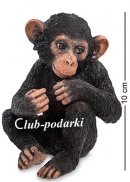 Veronese, Обезьяна - Детёныш шимпанзе