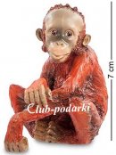 Veronese,  Обезьяна - Детёныш орангутанга