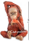 Veronese,  Обезьяна - Детёныш орангутанга
